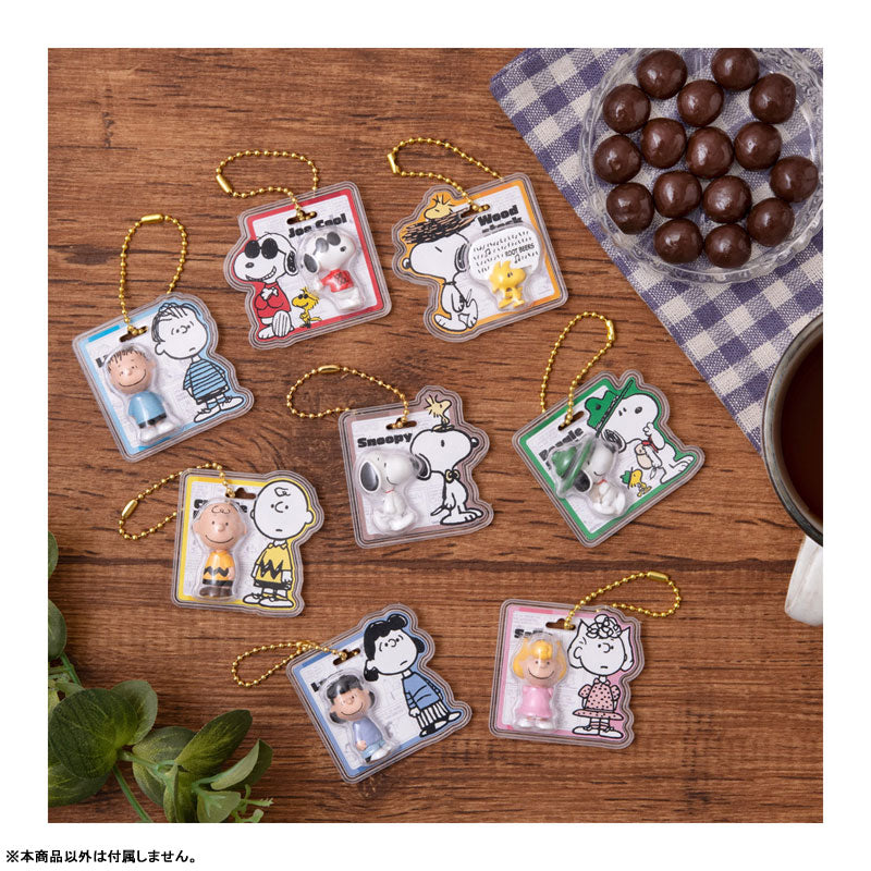 PEANUTS -SNOOPY- パッケージチャーム＆チョコボーロ